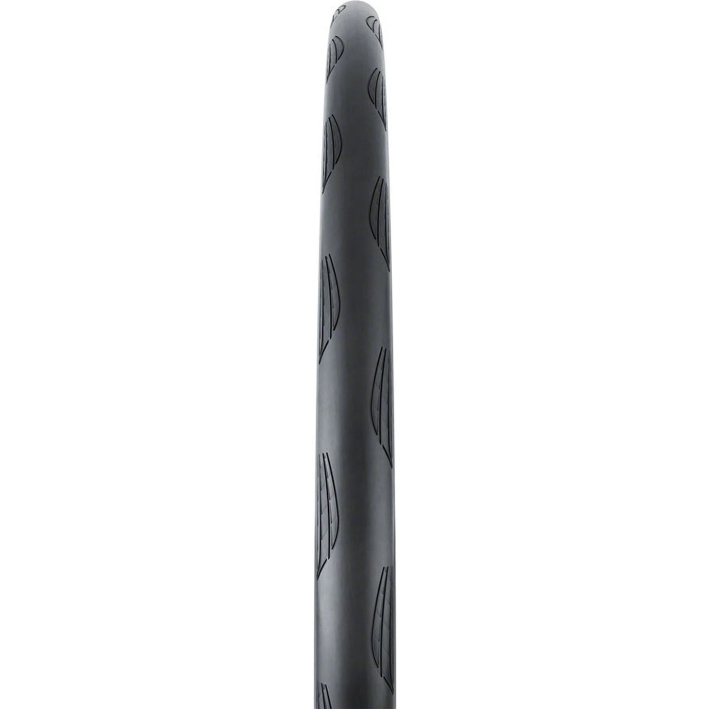 Continental Tire - Bicycle Grand Prix TR Tire - 700 x 25, Tubeless, Folding, Black, BlackChili [MPN: 01507280000]_2101934