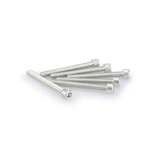 Puig Allen Screw Kit - M6X55mm - Silver 0446P_1780502