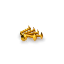 Puig Domed Screw Kit - M6X25mm - Gold 0689G_1780643