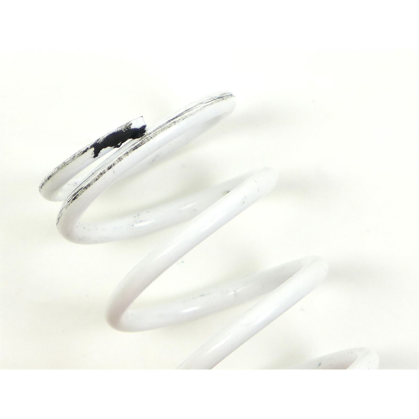 EPI Primary Clutch Spring - White OPEN BOX [MPN: PS-2]_1770875