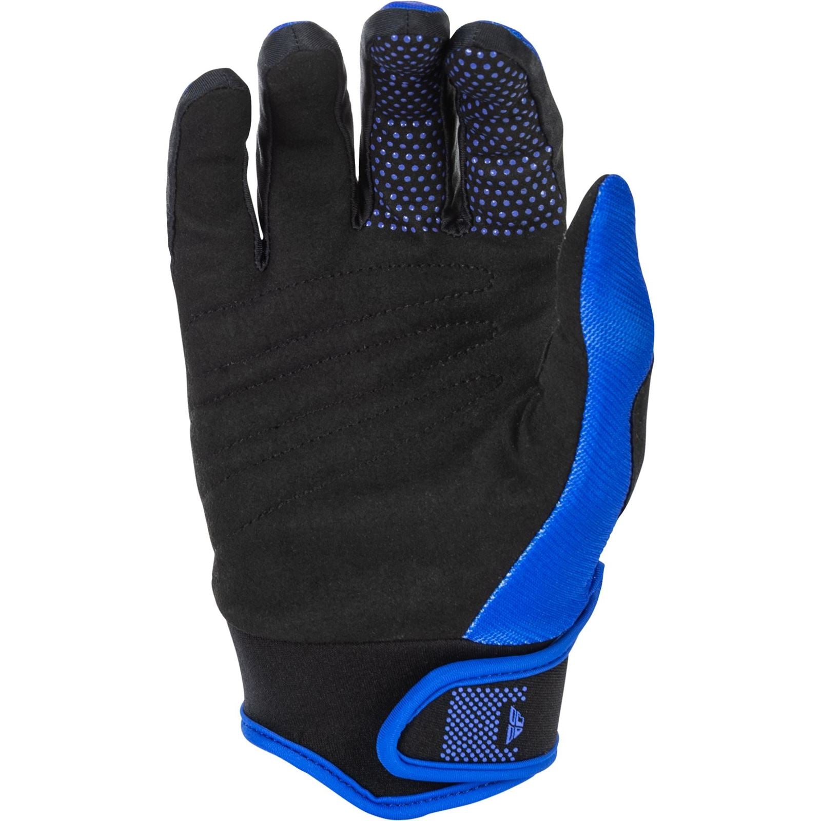 Fly Racing F-16 Gloves - Blue/White_1791346