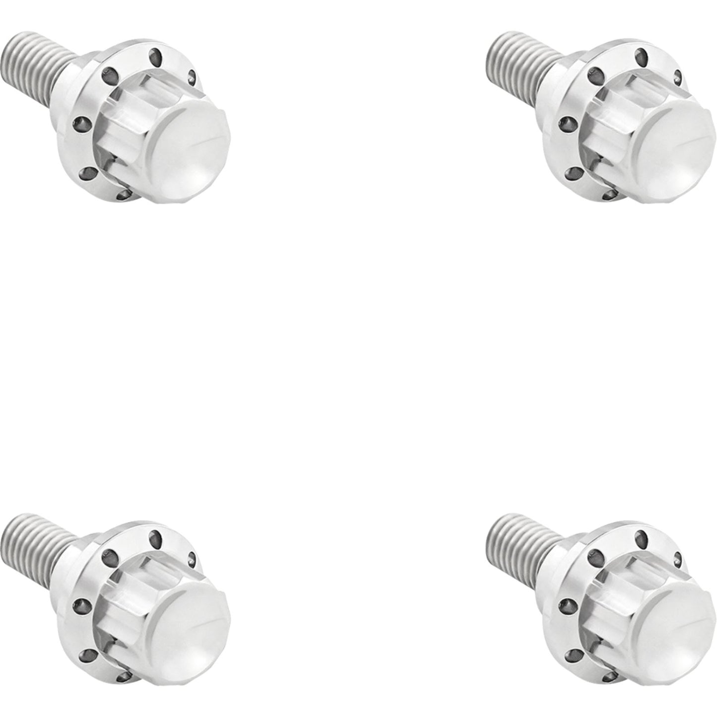 Arlen Ness Bolt Kit - Windshield - 12-Point - Titanium - Silver [MPN: 300-809]_1828300