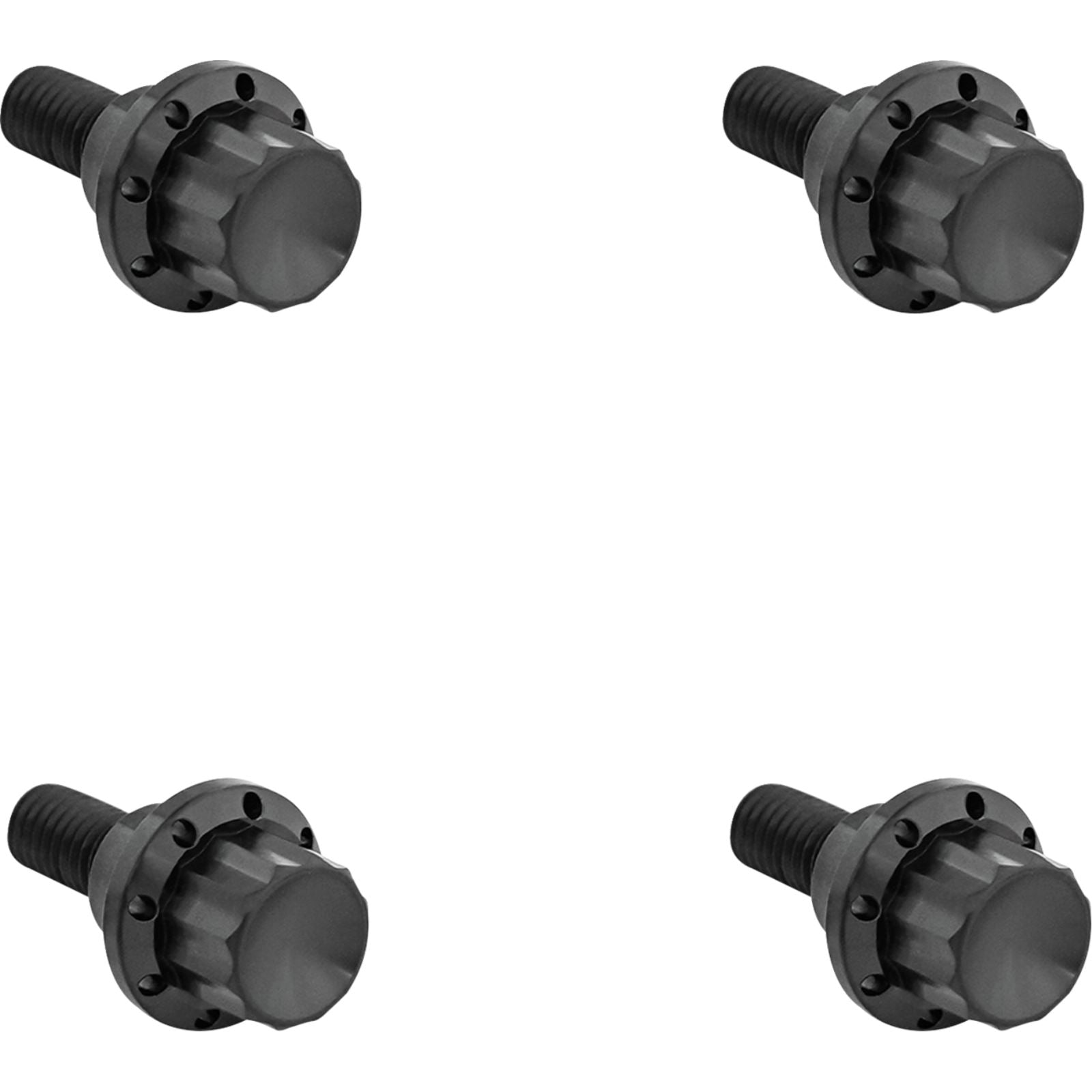 Arlen Ness Bolt Kit - Windshield - 12-Point - Titanium - Black [MPN: 300-810]_1828259