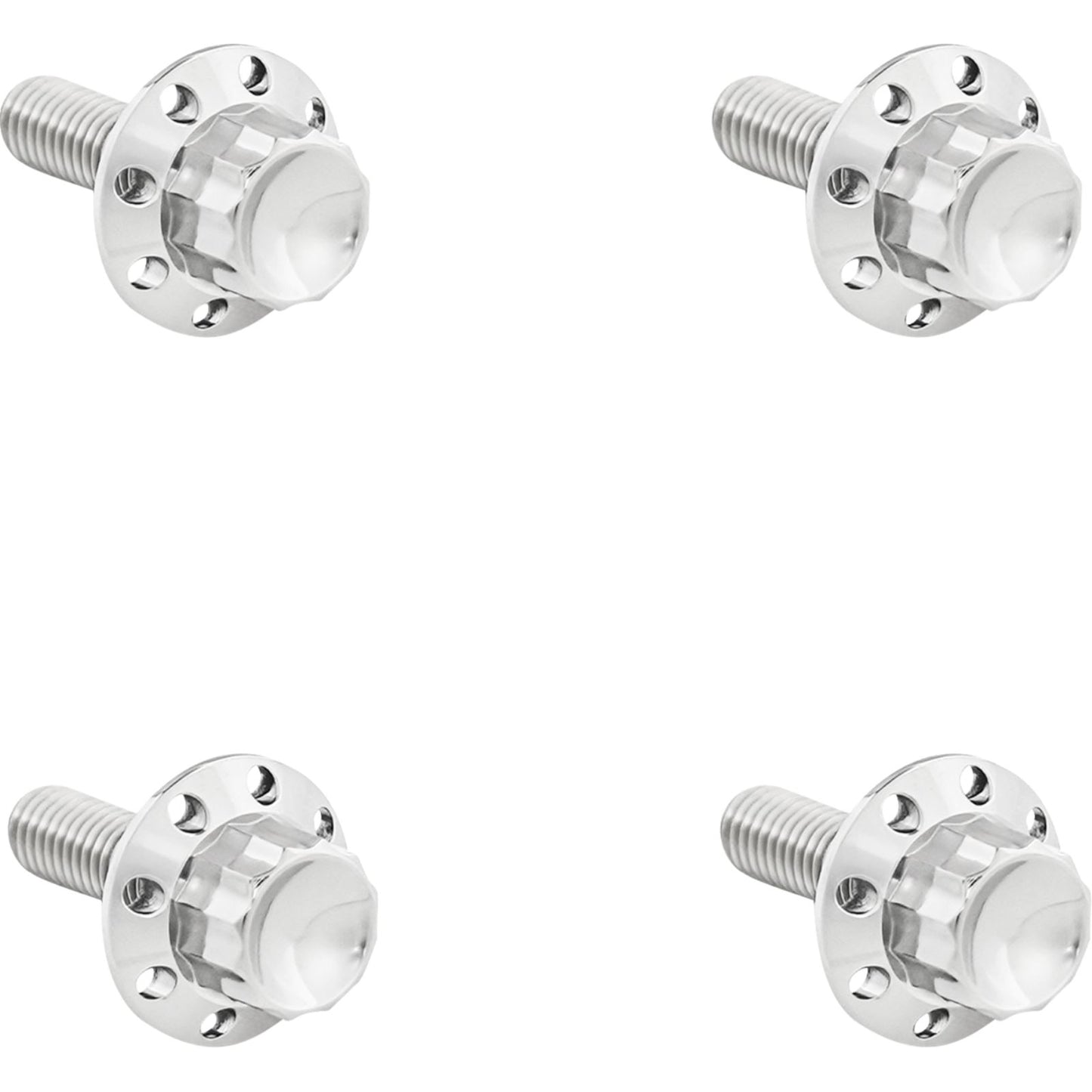 Arlen Ness Bolt Kit - Windshield - Titanium - 12-Point - Polished [MPN: 300-815]_1828408
