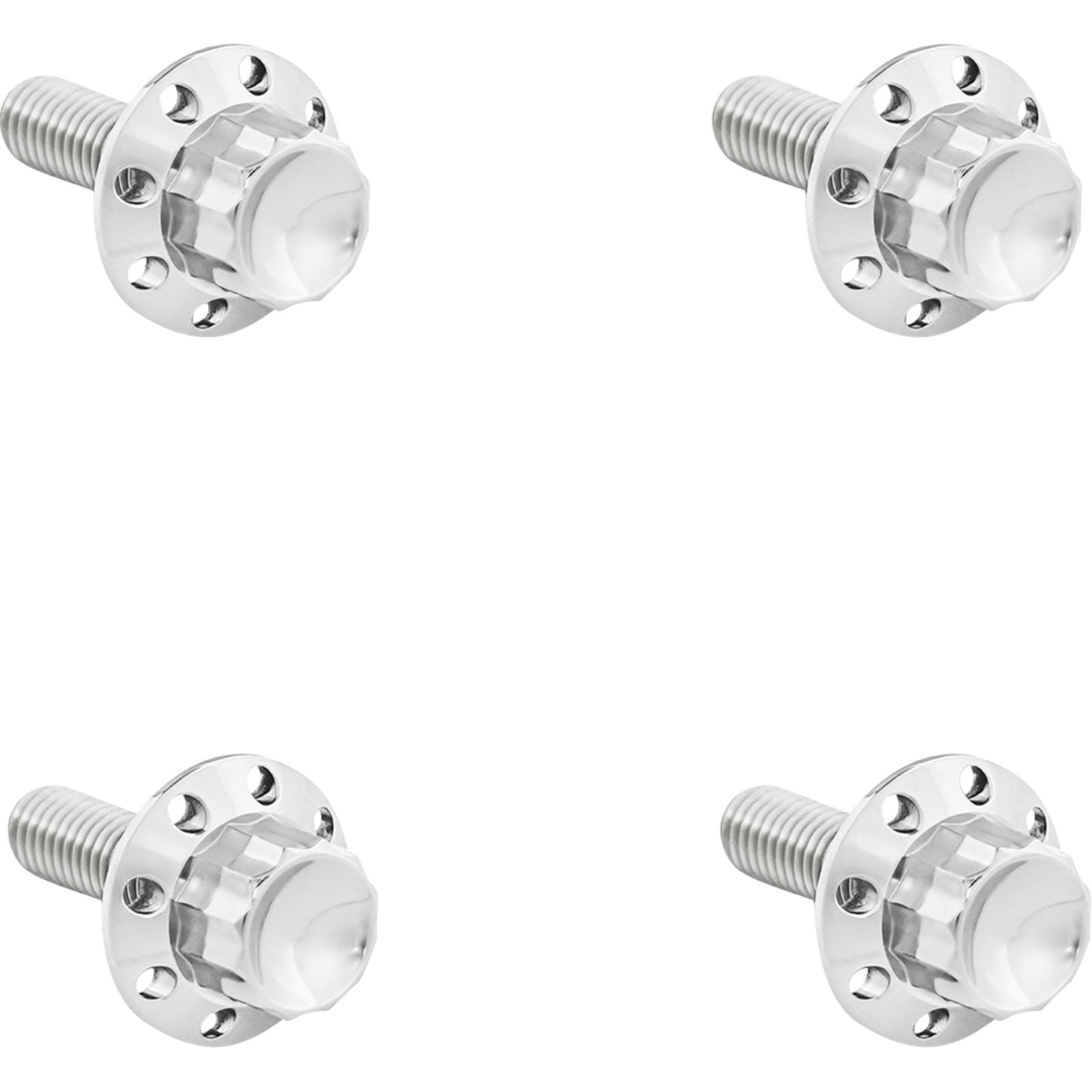 Arlen Ness Bolt Kit - Windshield - Titanium - 12-Point - Polished [MPN: 300-815]_1828408