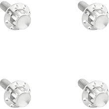 Arlen Ness Bolt Kit - Windshield - Titanium - 12-Point - Polished [MPN: 300-839]_1836364