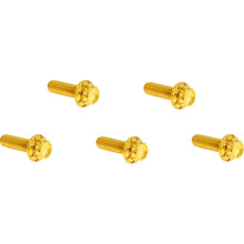Arlen Ness Bolt Kit - Derby Cover - 12-Point - Titanium - Gold [MPN: 300-925]_1842370