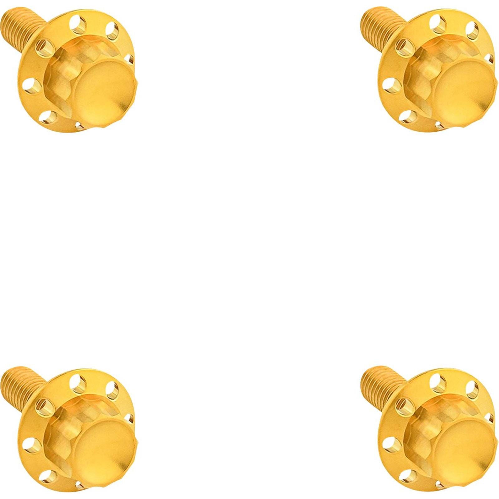 Arlen Ness Bolt Kit - Windshield - Titanium - 12-Point - Gold [MPN: 300-841]_1836362