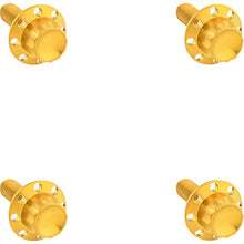 Arlen Ness Bolt Kit - Windshield - Titanium - 12-Point - Gold [MPN: 300-841]_1836362