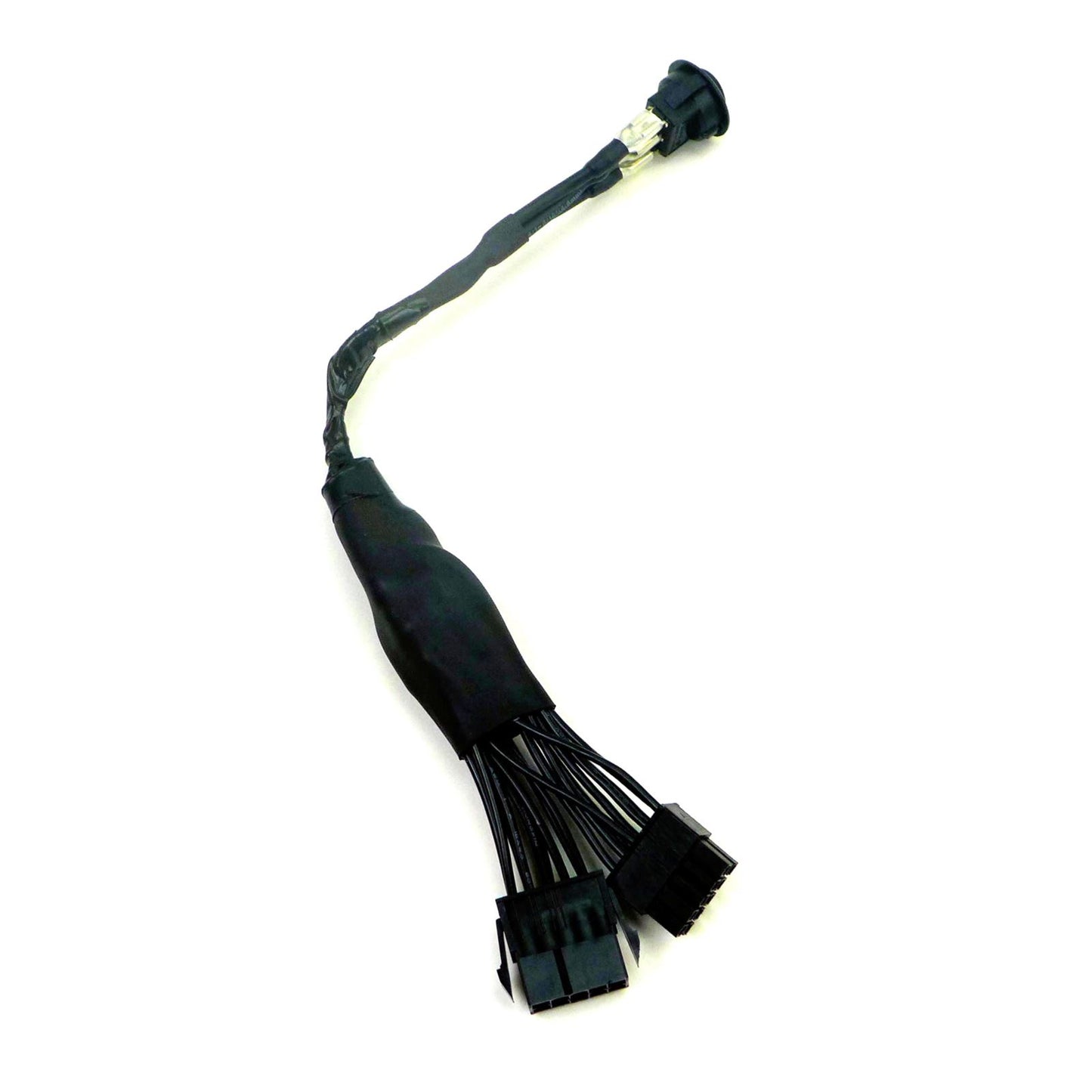 Birdie Pro Rock & Lock Harness for Evolution D5 Ranger Maverick models w/Switch [MPN: 24-55646]_1844504