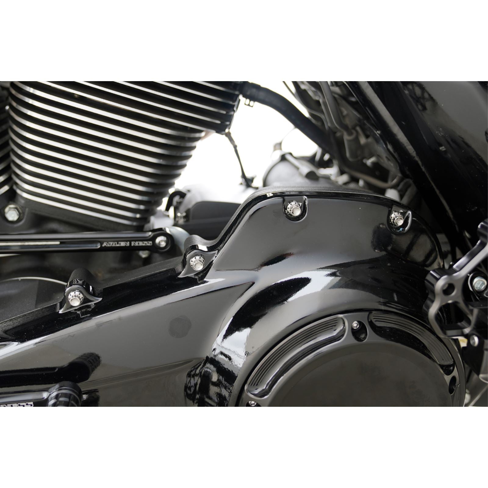 Arlen Ness Bolt Kit - Primary Cover - Titanium - 12-Point for FLT - Polished [MPN: 2401-1728]_1841132