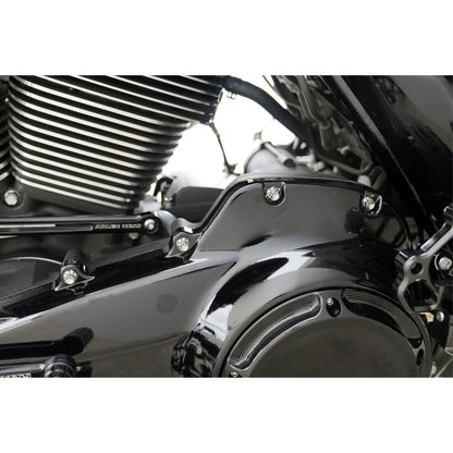 Arlen Ness Bolt Kit - Primary Cover - Titanium - 12-Point for FLT - Polished [MPN: 2401-1728]_1841132