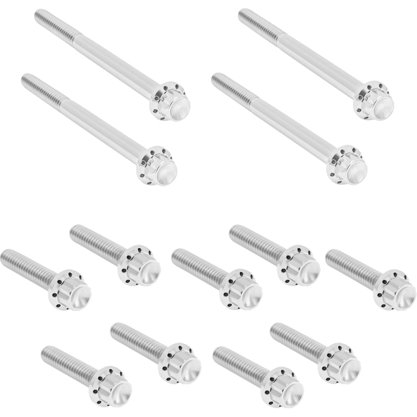 Arlen Ness Bolt Kit - Primary Cover - Titanium - 12-Point for FLT - Polished [MPN: 2401-1728]_1841455