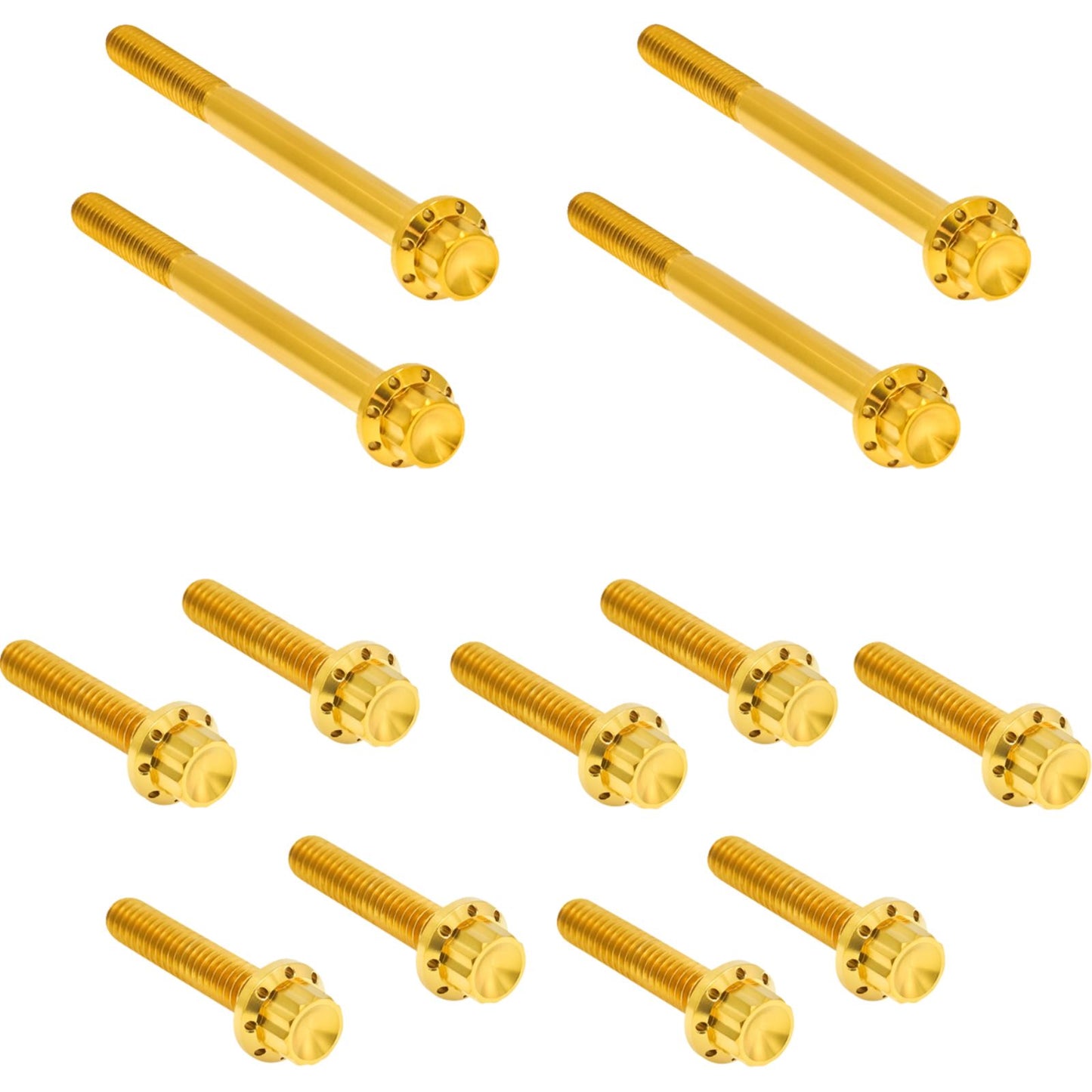 Arlen Ness Bolt Kit - Primary Cover - Titanium - 12-Point for Softail - Gold [MPN: 2401-1733]_1840765