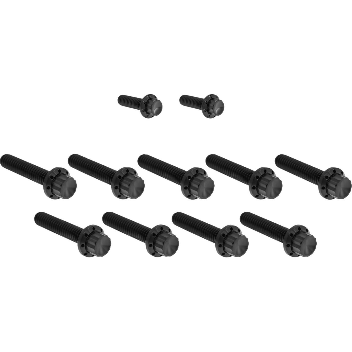 Arlen Ness Bolt Kit - Cam Cover/Point Cover - Titanium - 12-Point - Black [MPN: 2401-1735]_1840269