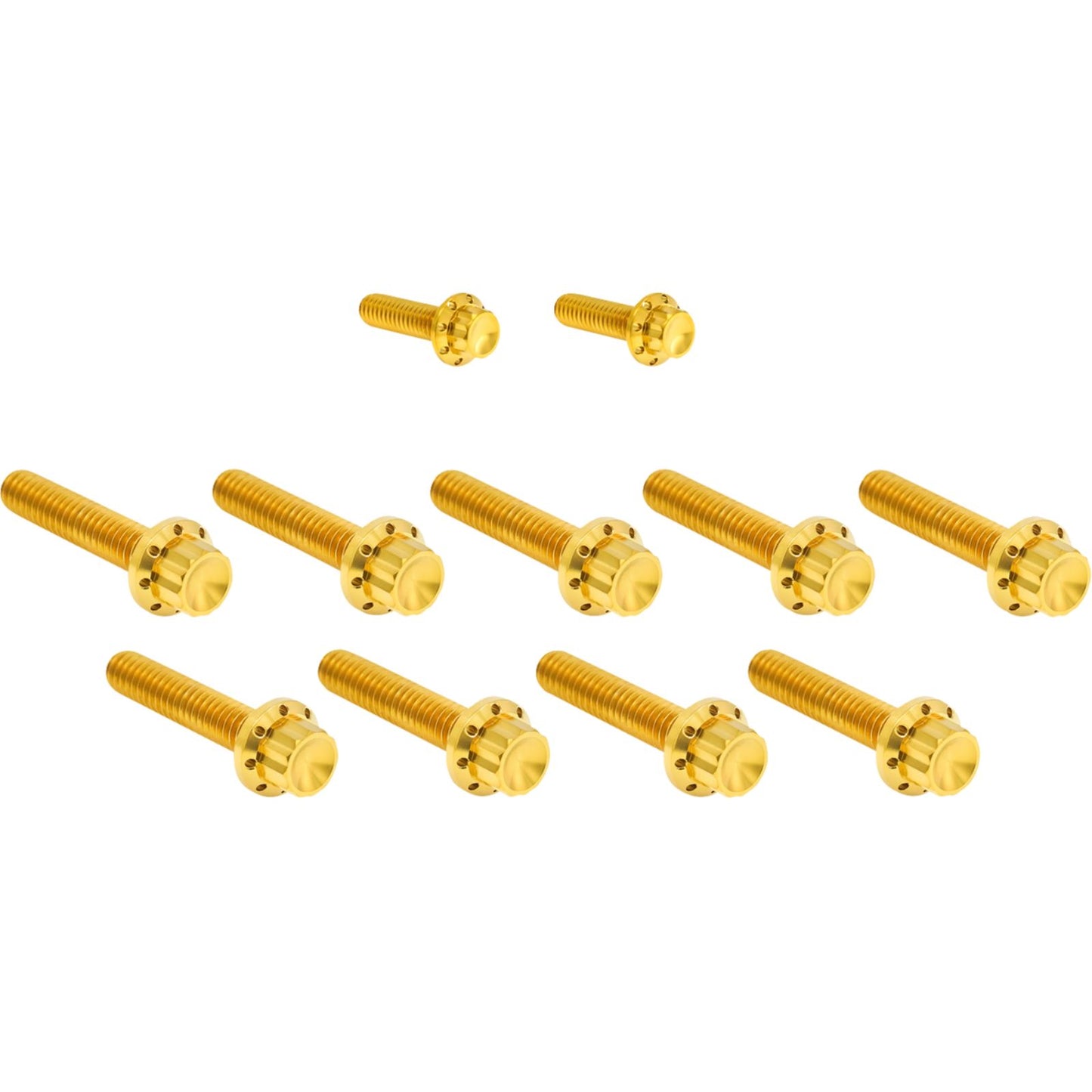 Arlen Ness Bolt Kit - Cam Cover/Point Cover - Titanium - 12-Point - Gold [MPN: 2401-1736]_1840275