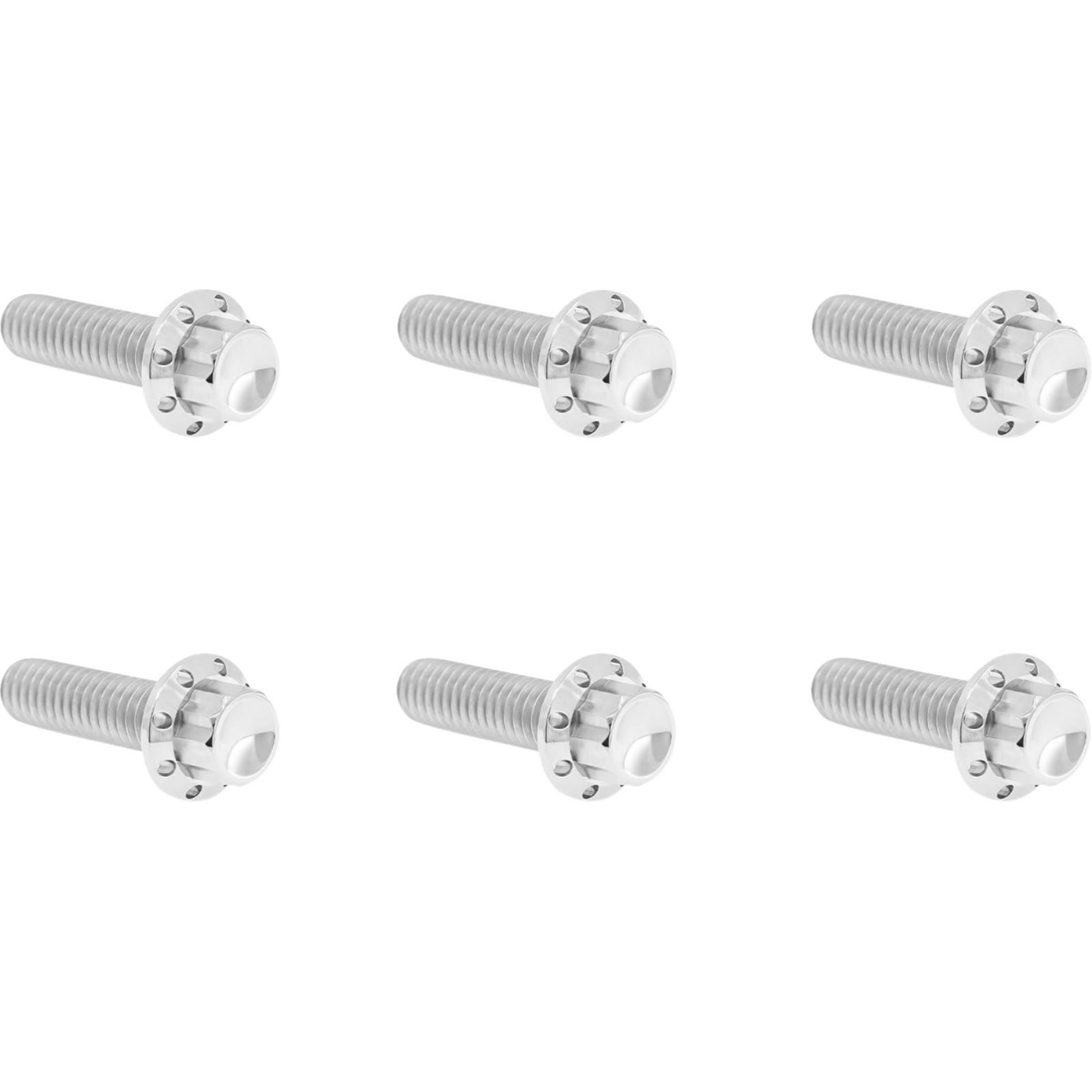 Arlen Ness Bolt Kit - Transmission Top Cover - 12-Point - Titanium - Polished [MPN: 2401-1746]_1840235