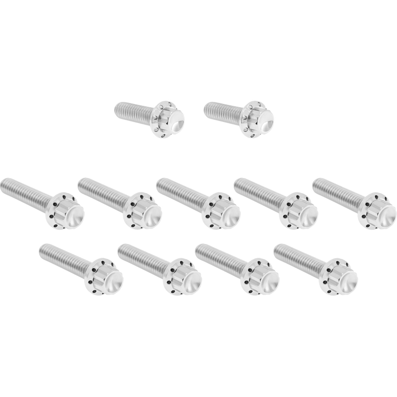 Arlen Ness Bolt Kit - Cam Cover/Point Cover - Titanium - 12-Point - Polished [MPN: 2401-1758]_1840543