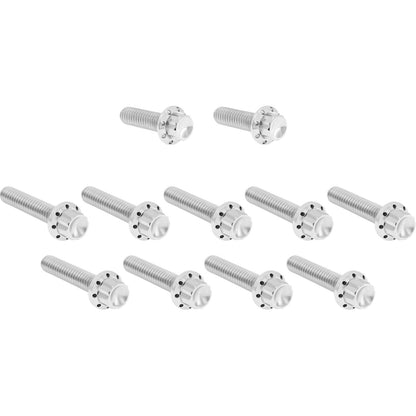Arlen Ness Bolt Kit - Cam Cover/Point Cover - Titanium - 12-Point - Polished [MPN: 2401-1758]_1840543