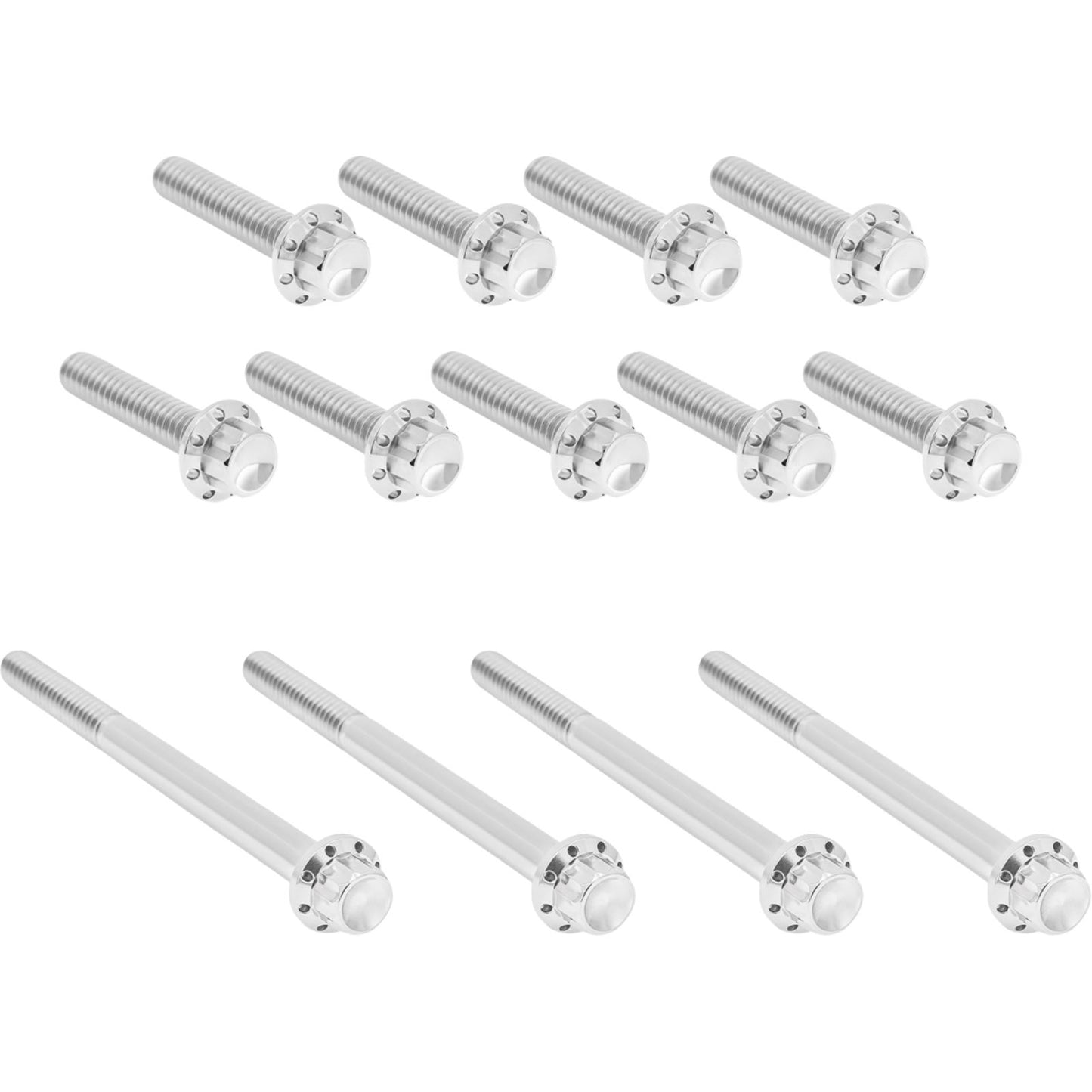 Arlen Ness Bolt Kit - Primary Cover - Titanium - 12-Point for Twin Cam - Polished [MPN: 2401-1767]_1840211