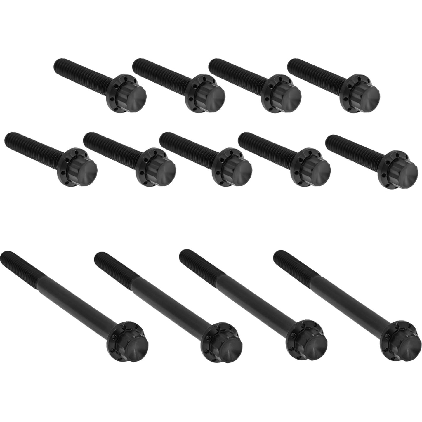 Arlen Ness Bolt Kit - Primary Cover - Titanium - 12-Point for Twin Cam - Black [MPN: 2401-1768]_1840303