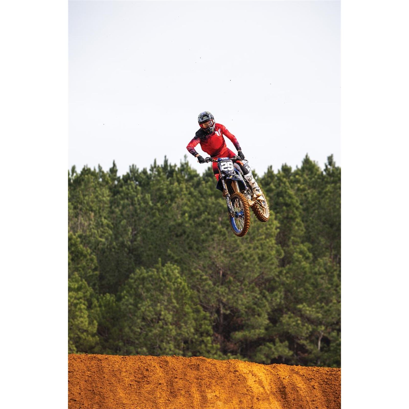 Thor Sportmode Carbon Pants - Black/Red_2102945