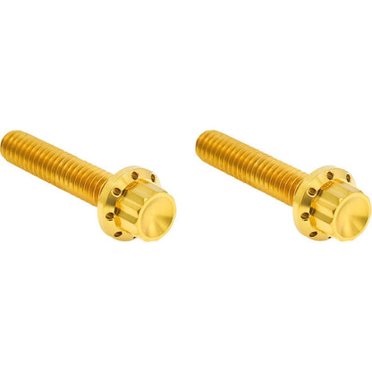 Arlen Ness Bolt Kit - Hydraulic Clutch - Titanium - 12-Point for M8/Twin Cam - Gold [MPN: 2401-1817]_1879037