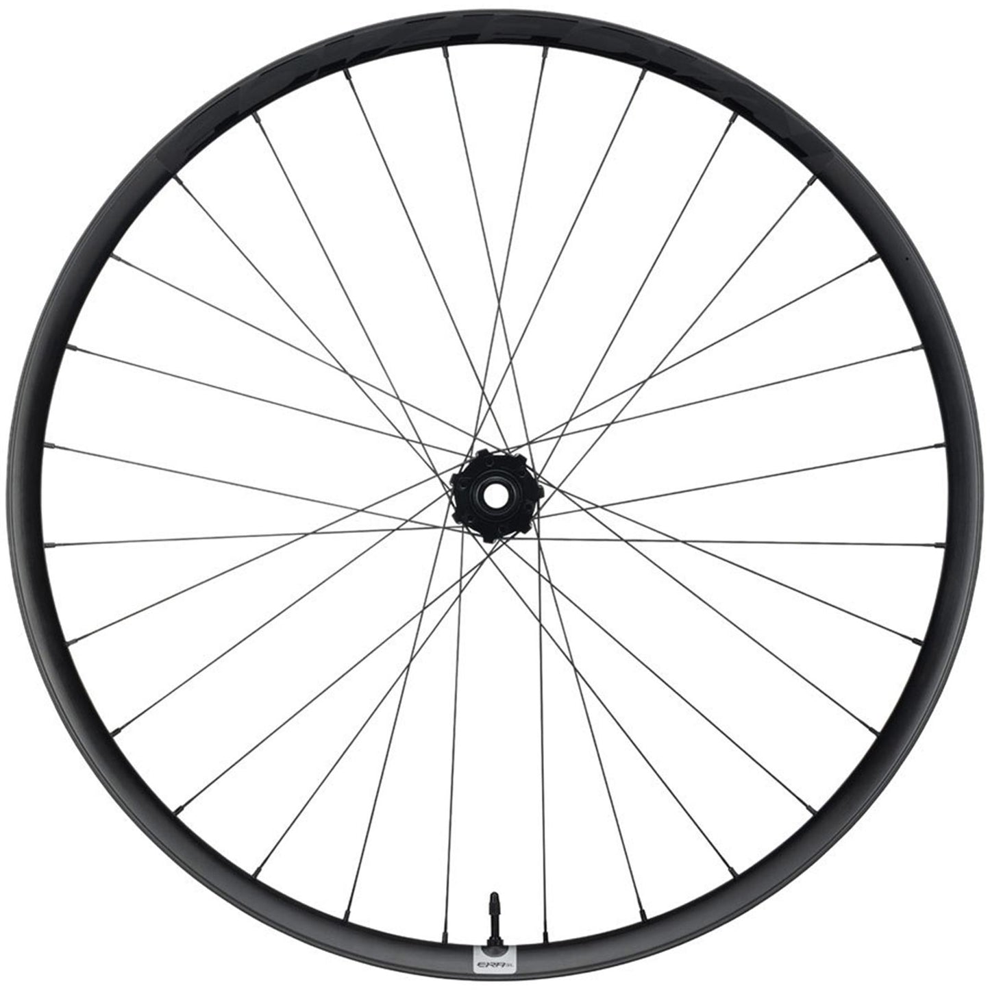 Race Face Era SL Front Wheel - 29", 15 x 110mm, 6-Bolt, Carbon Black [MPN: WE1312]_1915677