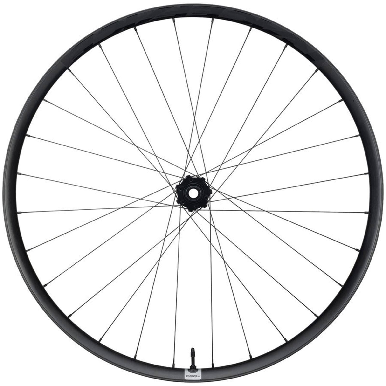 Race Face Era SL Front Wheel - 29", 15 x 110mm, 6-Bolt, Carbon Black [MPN: WE1312]_1915677