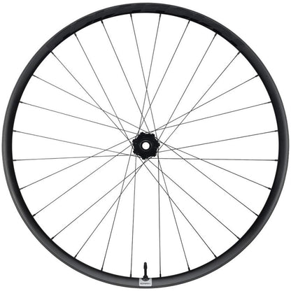 Race Face Era SL Front Wheel - 29", 15 x 110mm, 6-Bolt, Carbon Black [MPN: WE1312]_1915677