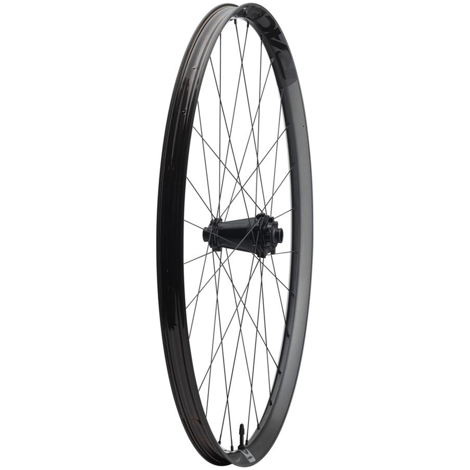Race Face Era SL Front Wheel - 29", 15 x 110mm, 6-Bolt, Carbon Black [MPN: WE1312]_1915679