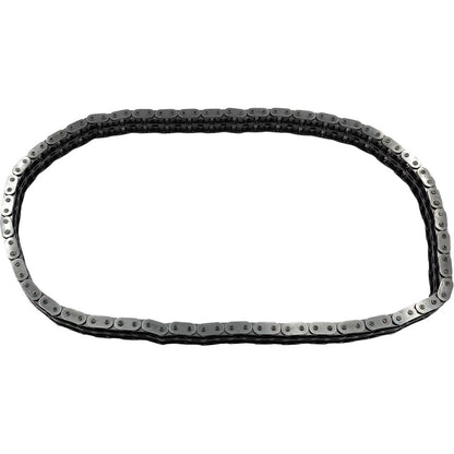 S&S Cycle Primary Chain for '80-'06 Touring/FXR [MPN: 560-0449]_1996128