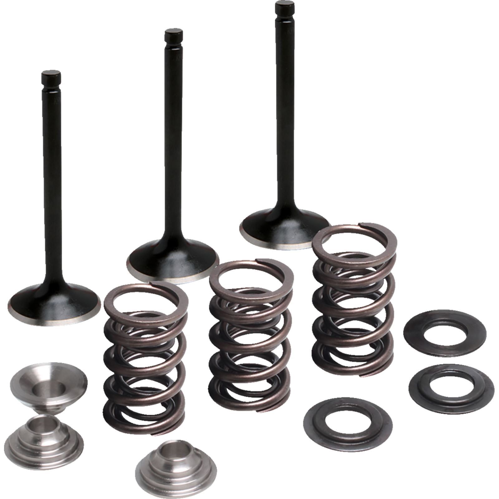 Moose Offroad Valve and Spring Kit - Intake fits Yamaha [MPN: 0926-3472]_1944129