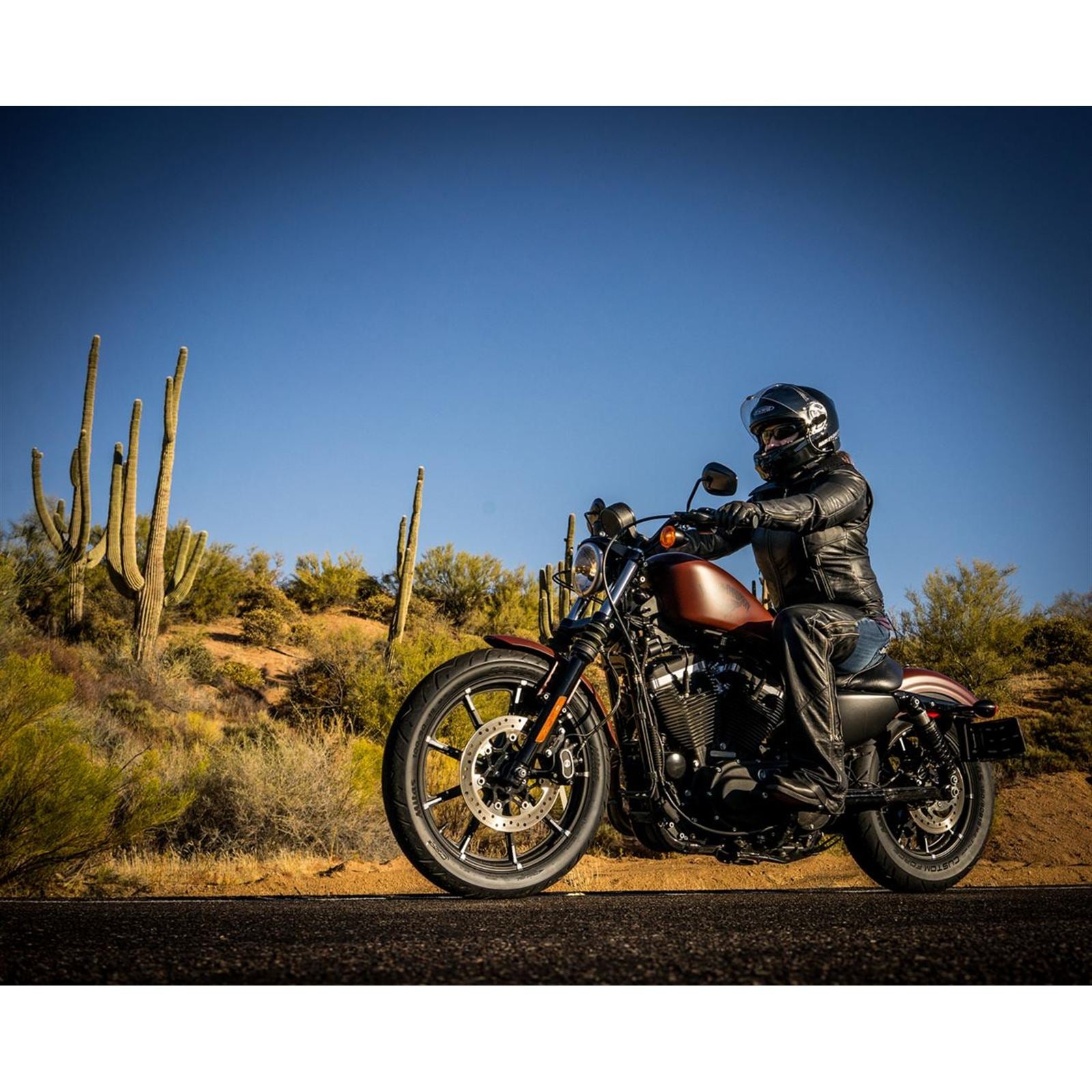 Mitas Tire - Custom Force - Rear - 130/90B16 | MT90B16 - 73H [MPN: 70000033]_2054811