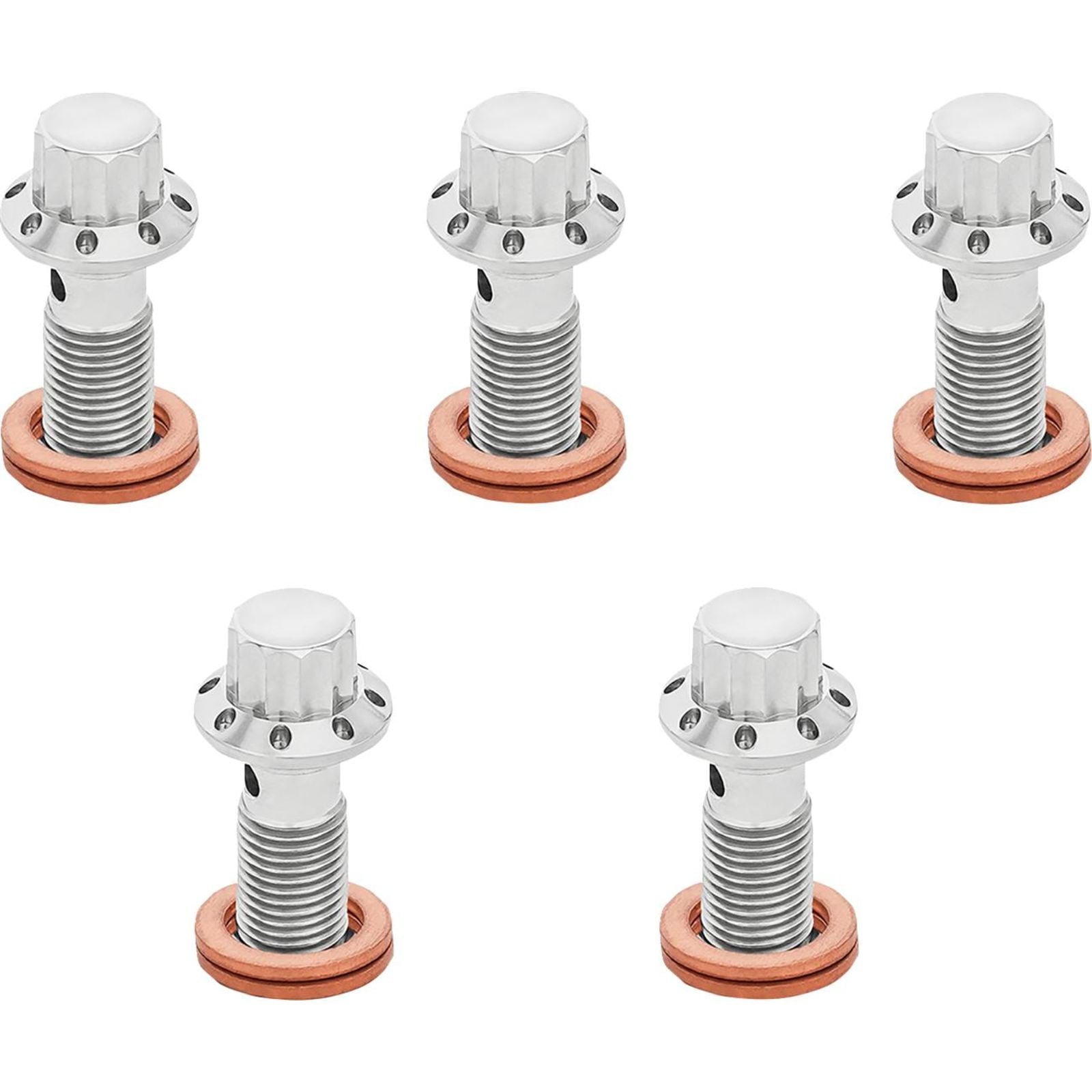 Arlen Ness Banjo Bolt 5-Pack - 3/8"-24 - Polished [MPN: 300-854]_2055246