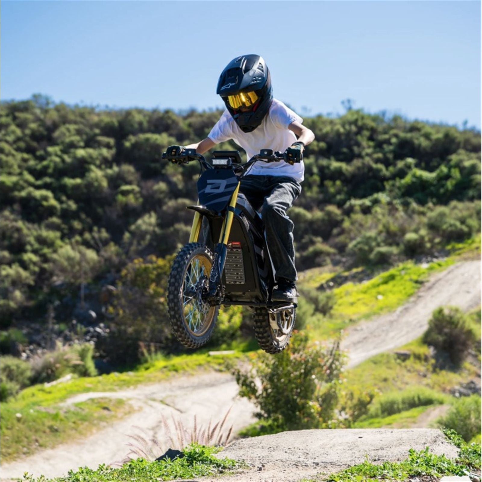 Droyd Berzerker e-Dirt Bike - Black [MPN: DZ05-BK]_2073954