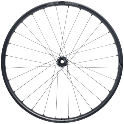 Full Speed Ahead Gradient Carbon i30 Front Wheel - 29", 15 x 110mm, 6-Bolt, Black [MPN: 720-0092223030]_2085774