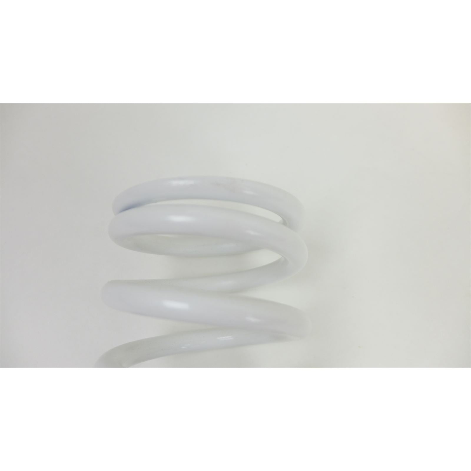 Factory Connection Shock Spring - Spring Rate 170 lbs/in OPEN BOX [MPN: NNE-0030]_2112663