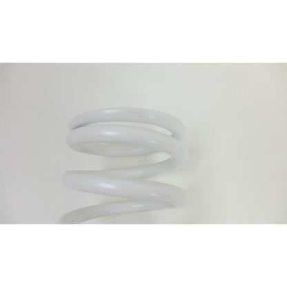 Factory Connection Shock Spring - Spring Rate 170 lbs/in OPEN BOX [MPN: NNE-0030]_2112663