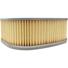 Emgo Air Filter 12-94300_210205