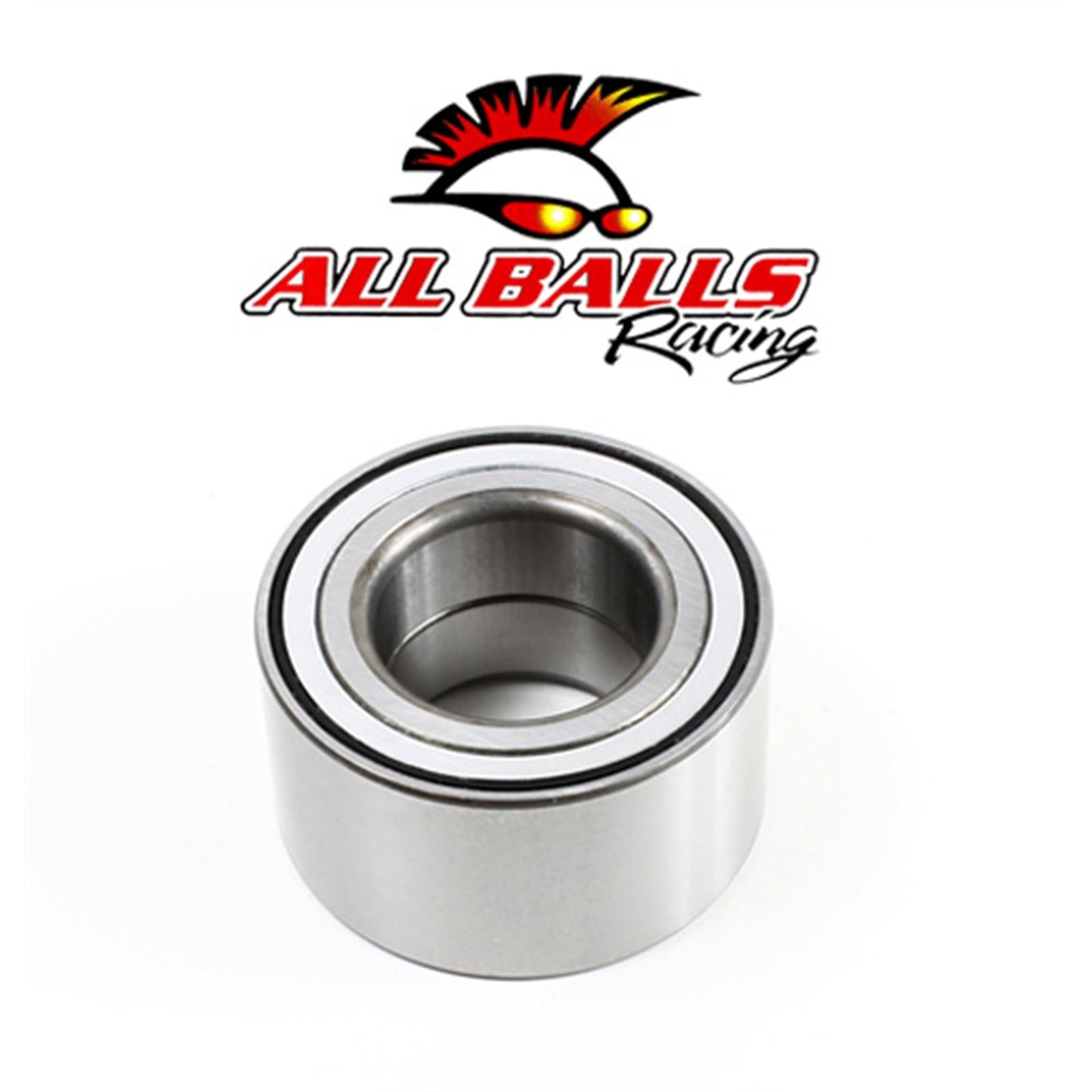 All Balls Rear Independent Suspension Kit 50-1069_595255