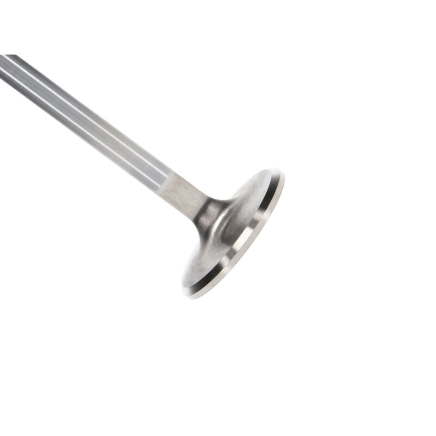 Manley Race Master Valves [MPN: 11653-4]_2224462