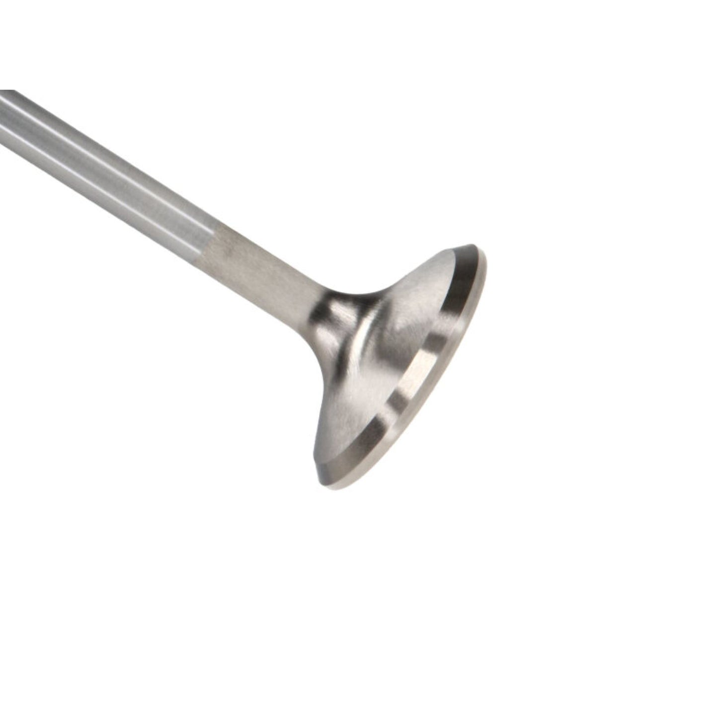 Manley Race Master Valves [MPN: 12331-8]_2246442