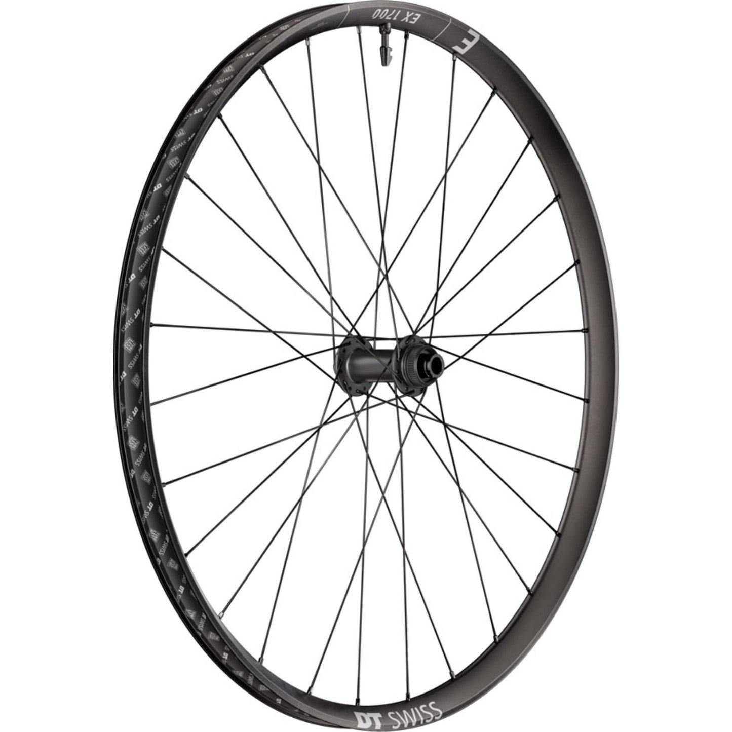 DT Swiss EX 1700 Classic 30 Front Wheel - 29", 15 x 110mm, Black [MPN: WEX1700BEIXSA27977]_2348057