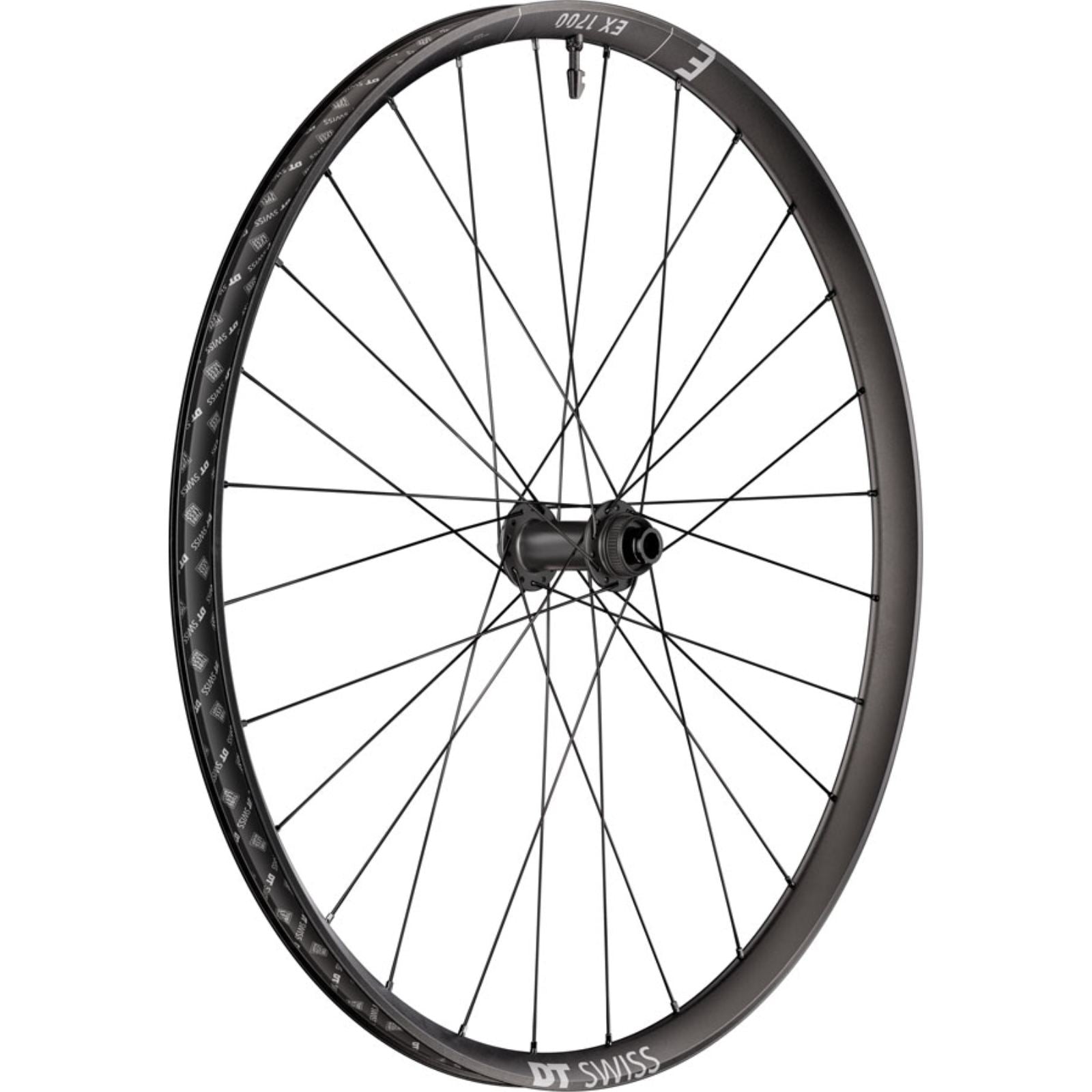 DT Swiss EX 1700 Classic 30 Front Wheel - 29", 15 x 110mm, Black [MPN: WEX1700BEIXSA27977]_2348057
