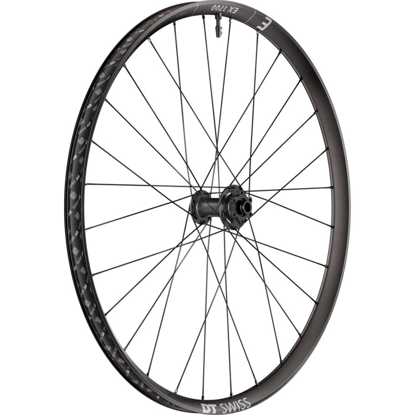 DT Swiss EX 1700 Classic 30 Front Wheel 29", 15 x 110mm, 6-Bolt, Black [MPN: WEX1700BFIXSA27971]_2348058
