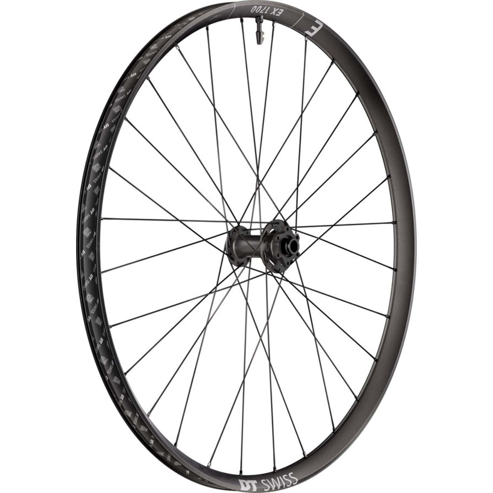 DT Swiss EX 1700 Classic 30 Front Wheel 29", 15 x 110mm, 6-Bolt, Black [MPN: WEX1700BFIXSA27971]_2348058