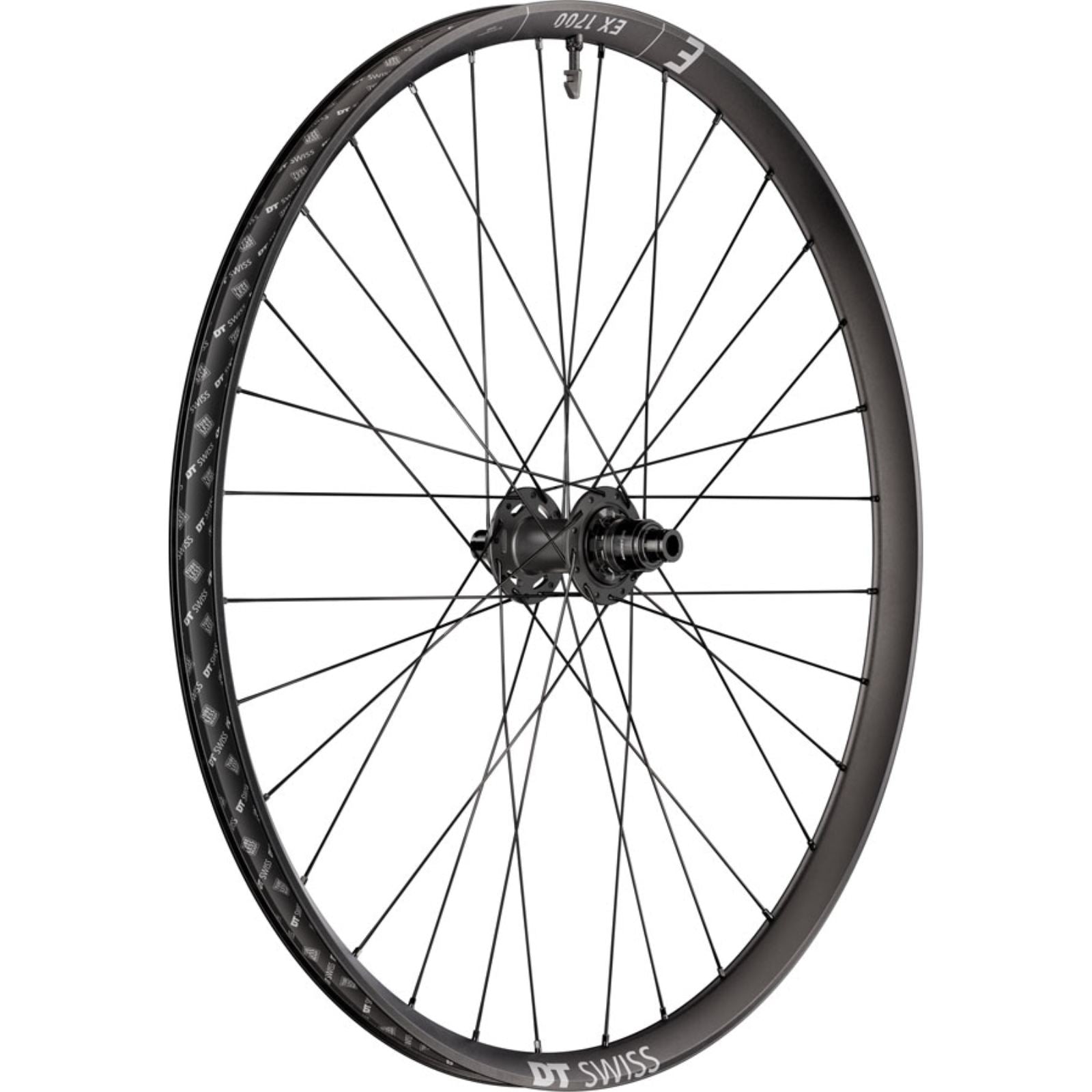 DT Swiss EX 1700 Classic 30 Rear Wheel - 29", 12 x 148mm, Black [MPN: WEX1700TEDRSA27978]_2348061