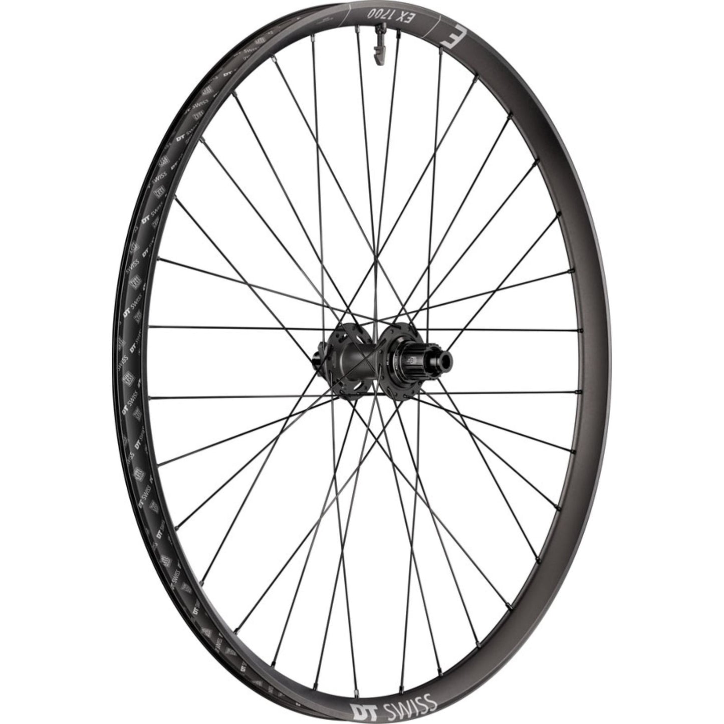 DT Swiss EX 1700 Classic 30 Rear Wheel - 29", 12 x 148mm, Black [MPN: WEX1700TFD2SA27973]_2348062