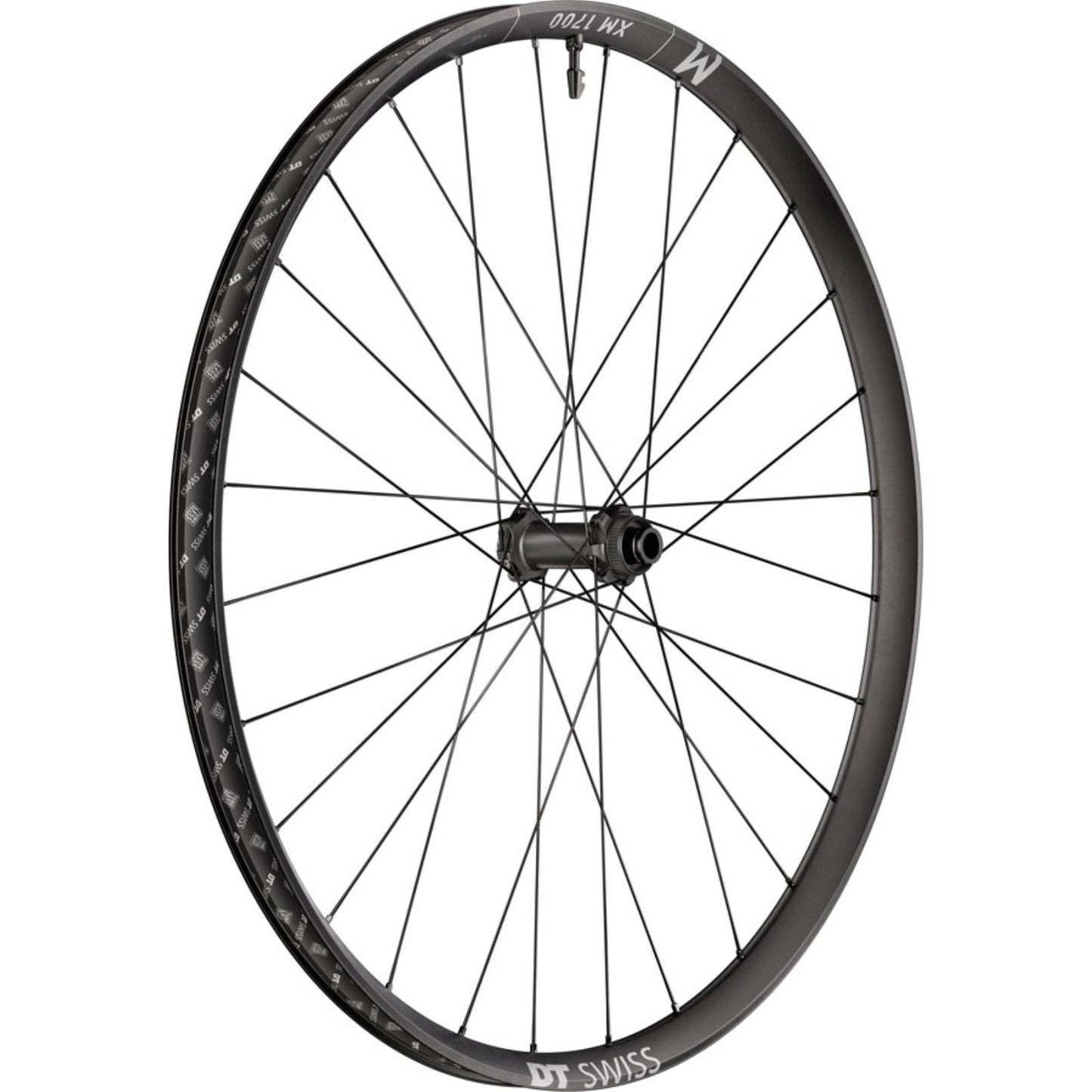 DT Swiss XM 1700 Spline 30 Front Wheel - 29", 15 x 110mm, Black [MPN: WXM1700BEIXSA27944]_2348127